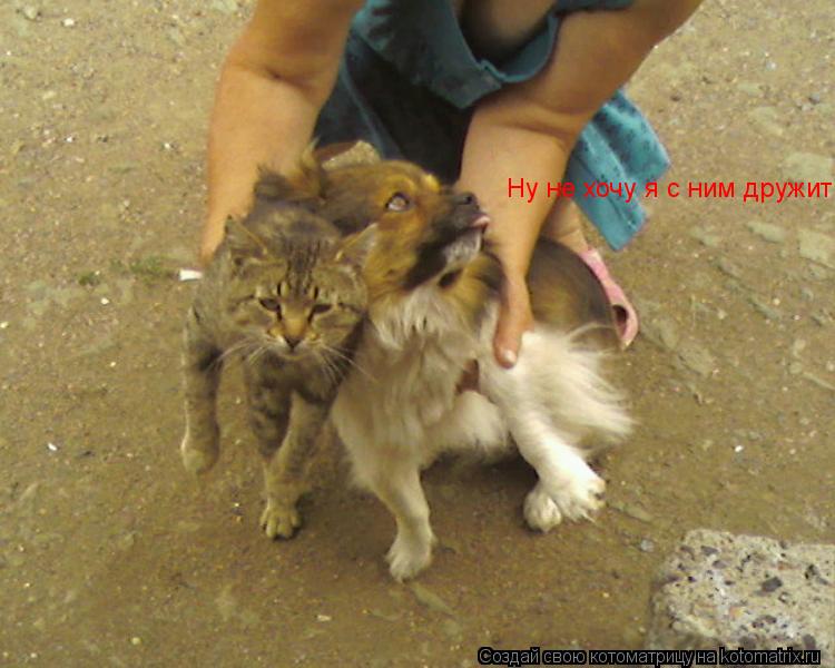 Котоматрица: Ну не хочу я с ним дружить