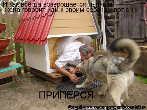 Котоматрица: И так всегда возврощается пьяным  жена говорит иди к своим собакам вот он и  ПРИПЕРСЯ