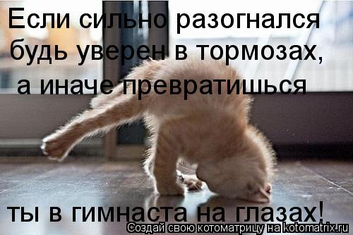 Если сильно разогнался будь уверен в тормозах, а иначе превратишься ты в гимнаста на глазах!... Котоматрица: Если сильно разогнался будь уверен в тормозах, а иначе превратишься ты в гимнаста на глазах!