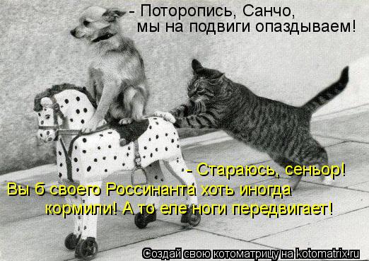 - Поторопись, Санчо, мы на подвиги опаздываем! - Стараюсь, сеньор! Вы б своего Россинанта хоть иногд... Котоматрица: - Поторопись, Санчо, мы на подвиги опаздываем! - Стараюсь, сеньор! Вы б своего Россинанта хоть иногда кормили! А то еле ноги передвигает!