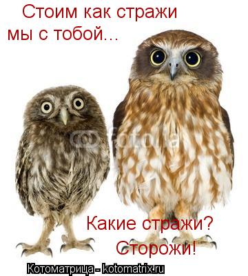 Котоматрица: Стоим как стражи мы с тобой... Какие стражи? Сторожи!