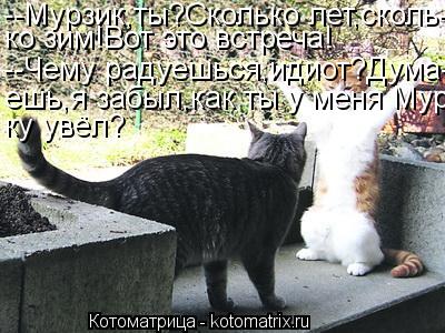 Котоматрица: --Мурзик,ты?Сколько лет,сколь- ко зим!Вот это встреча! --Чему радуешься,идиот?Дума- ешь,я забыл,как ты у меня Мур- ку увёл?