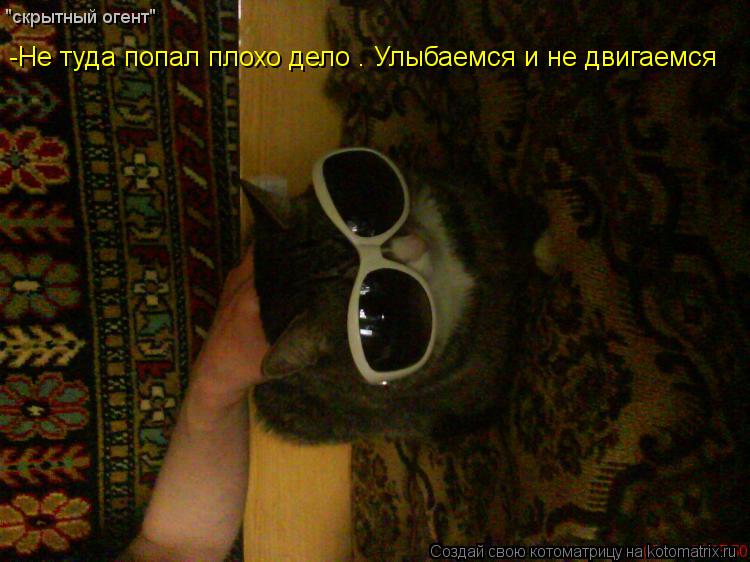 Котоматрица: "скрытный огент" -Не туда попал плохо дело . Улыбаемся и не двигаемся