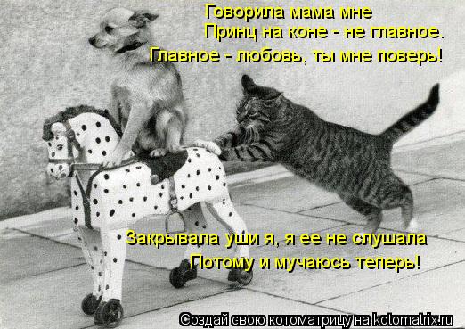 Принц на коне - не главное. Говорила мама мне Главное - любовь, ты мне поверь! Закрывала уши я, я ее ... Котоматрица: Принц на коне - не главное. Говорила мама мне Главное - любовь, ты мне поверь! Закрывала уши я, я ее не слушала Потому и мучаюсь теперь!