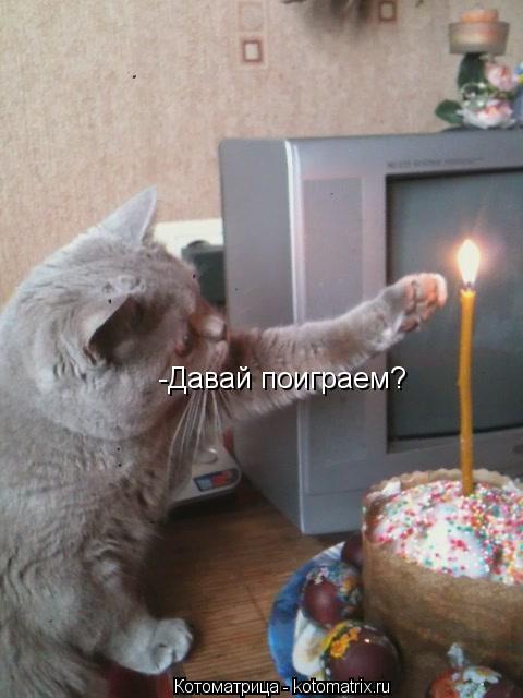 -Давай поиграем?... Котоматрица: -Давай поиграем?