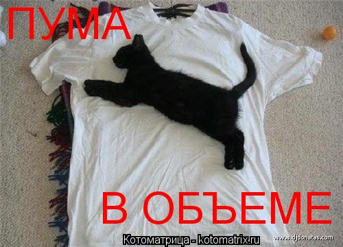 ПУМА В ОБЪЕМЕ... Котоматрица: ПУМА В ОБЪЕМЕ