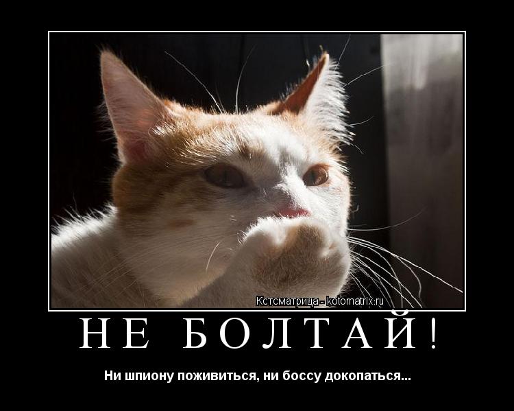 Не болтай! Ни шпиону поживиться, ни боссу докопаться...... Котоматрица: Не болтай! Ни шпиону поживиться, ни боссу докопаться...