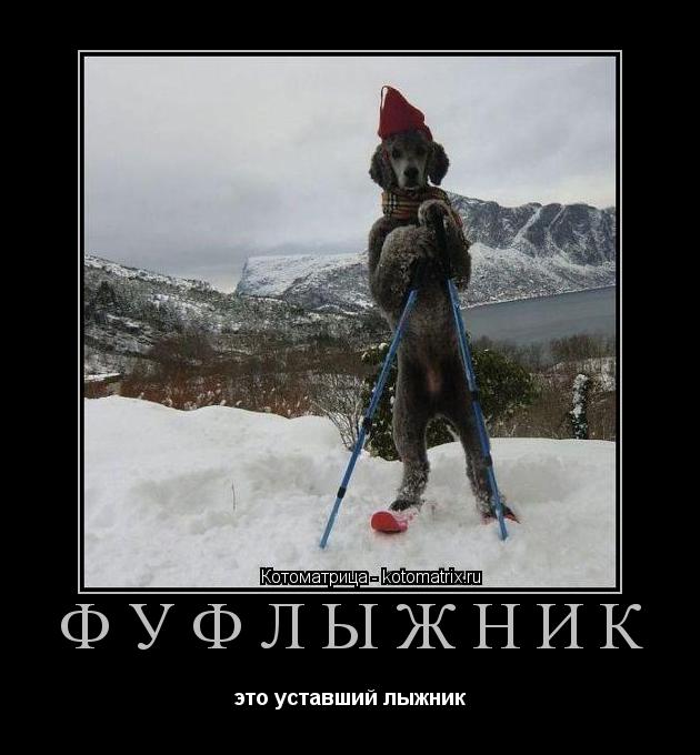 Фуфлыжник это уставший лыжник... Котоматрица: Фуфлыжник это уставший лыжник