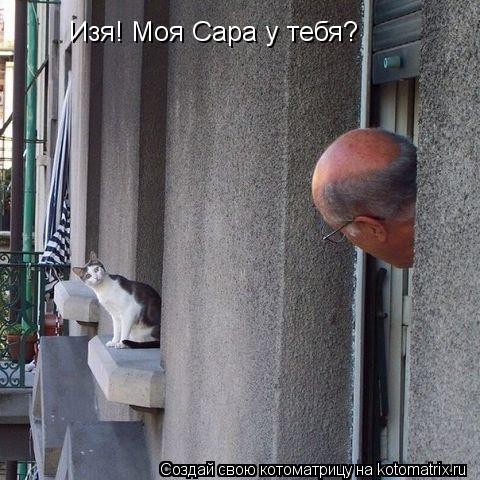 Изя! Моя Сара у тебя?... Котоматрица: Изя! Моя Сара у тебя?
