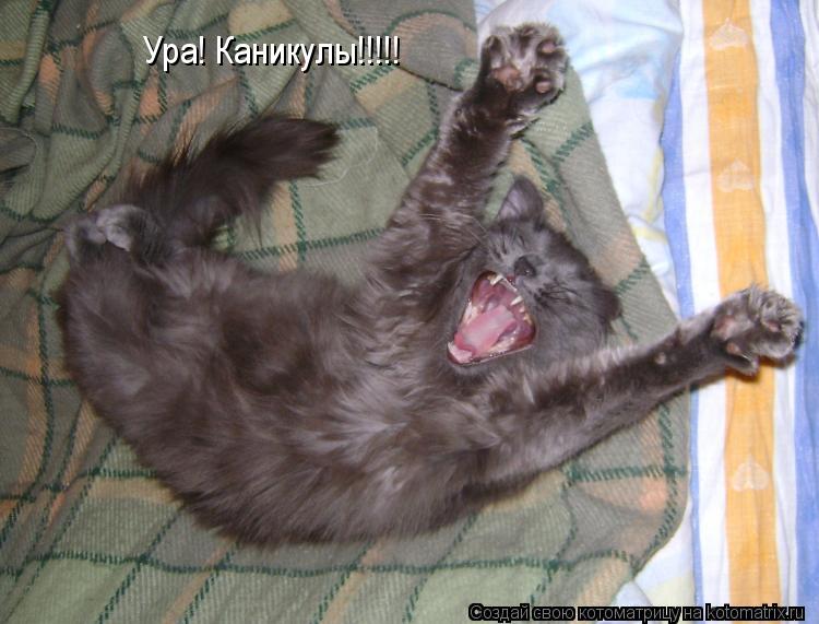 Ура! Каникулы!!!!!... Котоматрица: Ура! Каникулы!!!!!