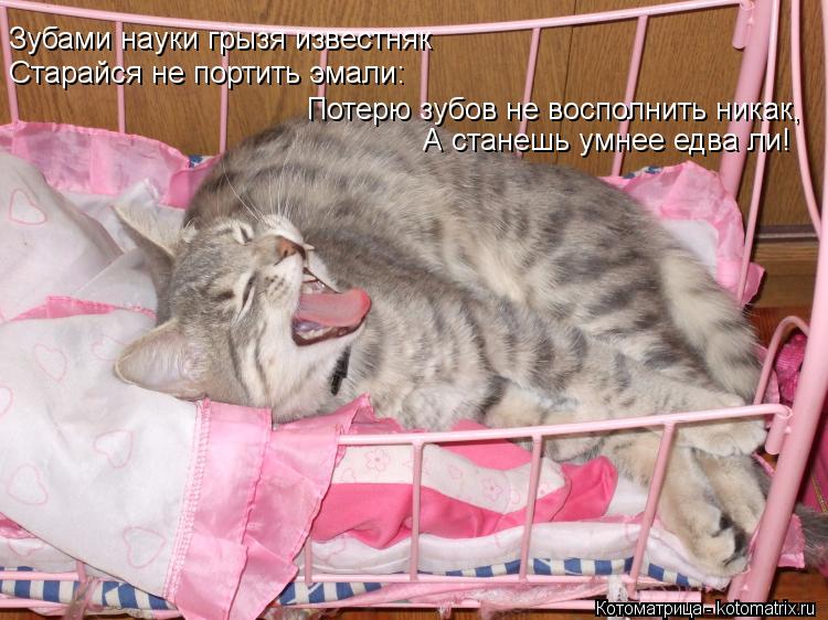 Котоматрица: Зубами науки грызя известняк Старайся не портить эмали: Потерю зубов не восполнить никак, А станешь умнее едва ли!