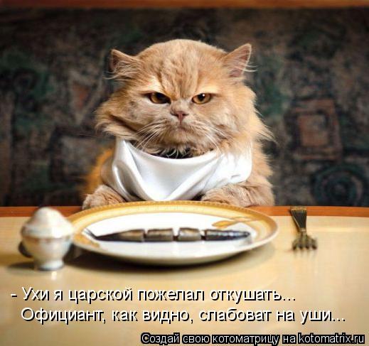 Котоматрица: - Ухи я царской пожелал откушать... Официант, как видно, слабоват на уши...
