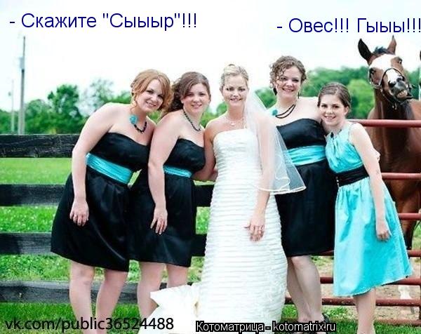Котоматрица: - Скажите "Сыыыр"!!! - Овес!!! Гыыы!!!