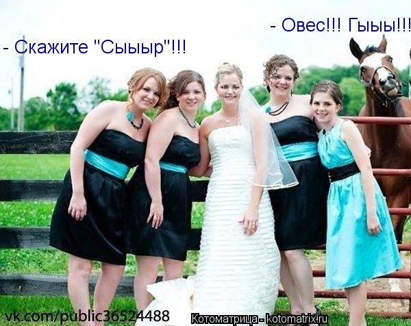 Котоматрица: - Овес!!! Гыыы!!!  - Скажите "Сыыыр"!!!