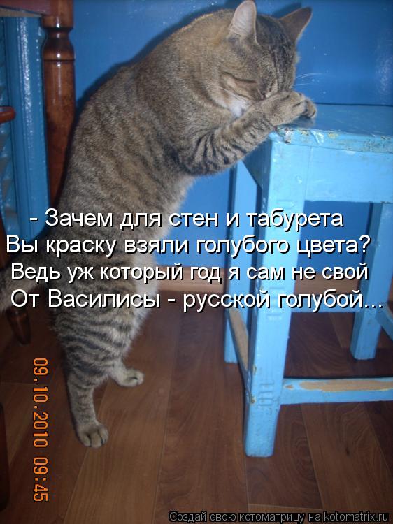 - Зачем для стен и табурета Вы краску взяли голубого цвета? Ведь уж который год я сам не свой От Васи... Котоматрица: - Зачем для стен и табурета Вы краску взяли голубого цвета? Ведь уж который год я сам не свой От Василисы - русской голубой...