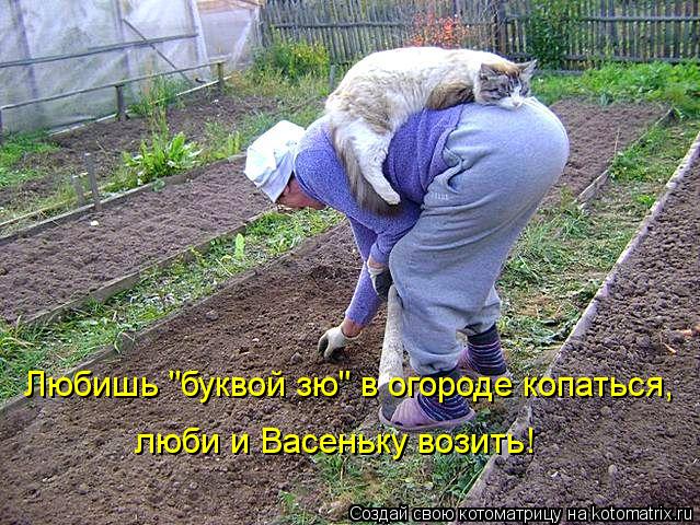 Котоматрица: Любишь "буквой зю" в огороде копаться, люби и Васеньку возить!