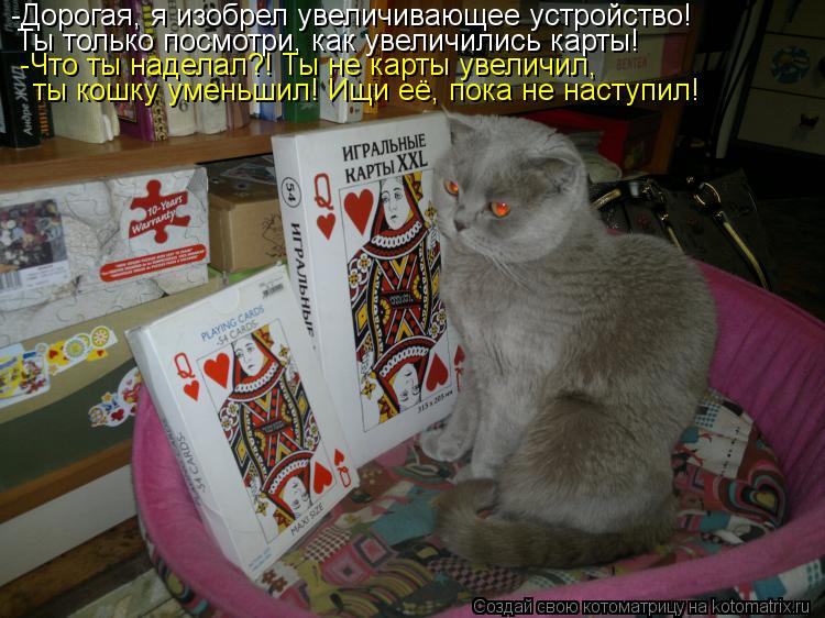-Дорогая, я изобрел увеличивающее устройство! Ты только посмотри, как увеличились карты! -Что ты над... Котоматрица: -Дорогая, я изобрел увеличивающее устройство! Ты только посмотри, как увеличились карты! -Что ты наделал?! Ты не карты увеличил, ты кошку уме