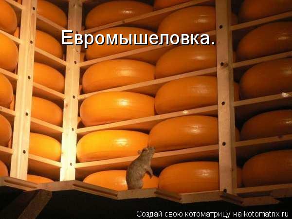 Евромышеловка.... Котоматрица: Евромышеловка.