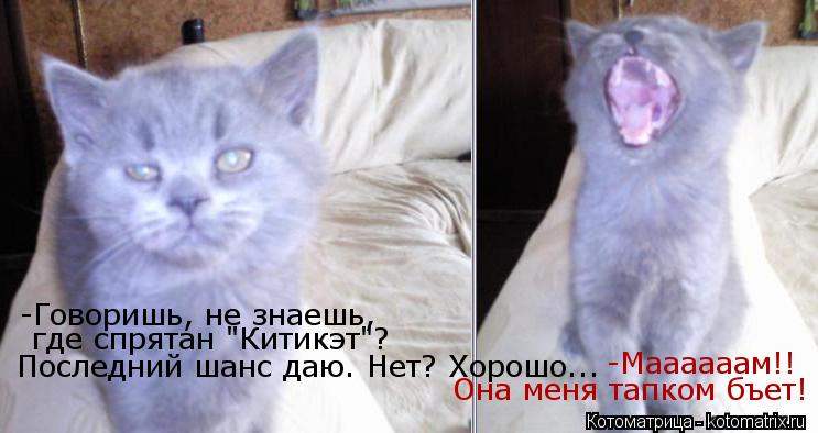 Котоматрица: -Говоришь, не знаешь, где спрятан "Китикэт"? Последний шанс даю. Нет? Хорошо... -Маааааам!!  Она меня тапком бъет!