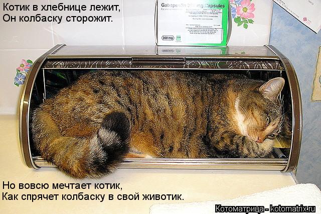 Котоматрица: Котик в хлебнице лежит, Он колбаску сторожит. Но вовсю мечтает котик, Как спрячет колбаску в свой животик.