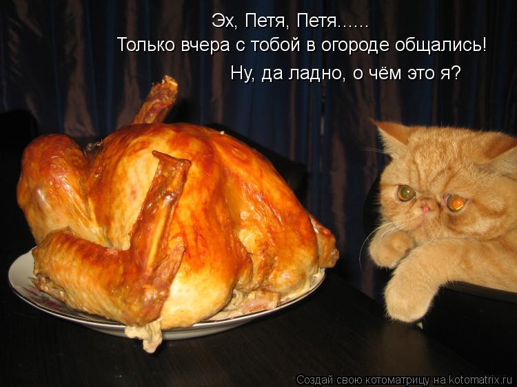 Эх, Петя, Петя...... Только вчера с тобой в огороде общались! Ну, да ладно, о чём это я?... Котоматрица: Эх, Петя, Петя...... Только вчера с тобой в огороде общались! Ну, да ладно, о чём это я?