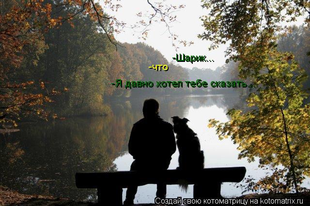 Котоматрица: -Шарик... -что -Я давно хотел тебе сказать...