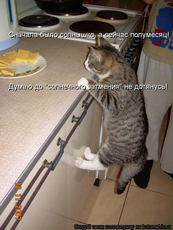 Котоматрица: Сначала было солнышко, а сейчас полумесяц! Сначала было солнышко, а сейчас полумесяц! Думаю до "солнечного затмения" не дотянусь!