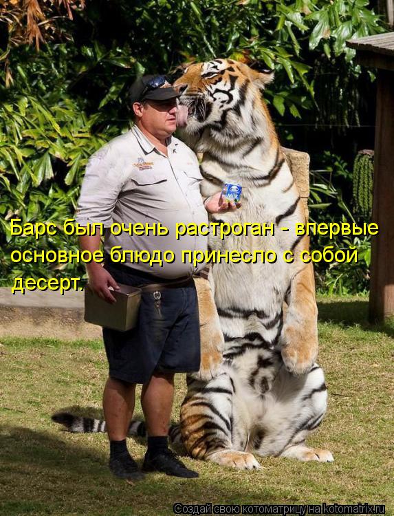 Котоматрица: Барс был очень растроган - впервые  основное блюдо принесло с собой десерт.