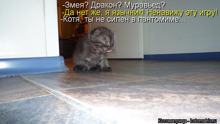 -Да нет же, я язычник! Ненавижу эту игру! -Котя, ты не силен в пантомиме... -Змея? Дракон? Муравьед?... Котоматрица: -Да нет же, я язычник! Ненавижу эту игру! -Котя, ты не силен в пантомиме... -Змея? Дракон? Муравьед?