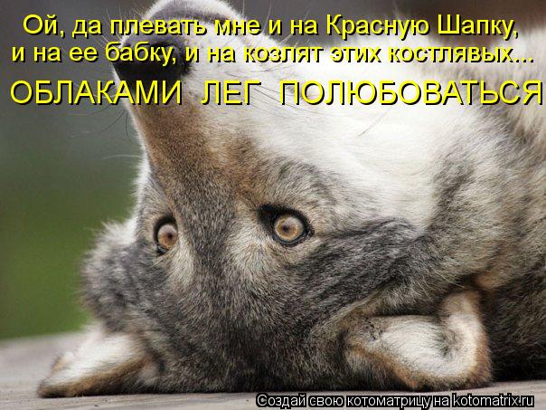 Ой, да плевать мне и на Красную Шапку, и на ее бабку, и на козлят этих костлявых... ОБЛАКАМИ ЛЕГ ПО... Котоматрица: Ой, да плевать мне и на Красную Шапку, и на ее бабку, и на козлят этих костлявых... ОБЛАКАМИ ЛЕГ ПОЛЮБОВАТЬСЯ !