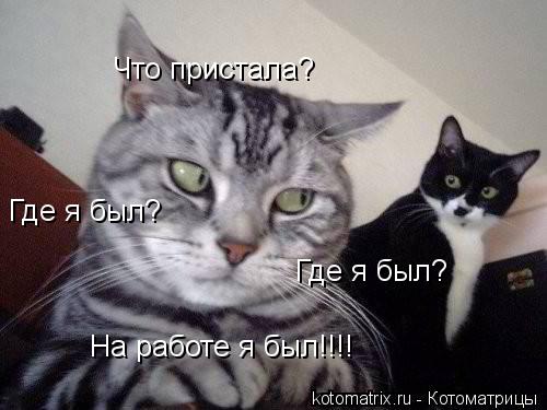 Где я был? Где я был? Что пристала? На работе я был!!!!... Котоматрица: Где я был? Где я был? Что пристала? На работе я был!!!!