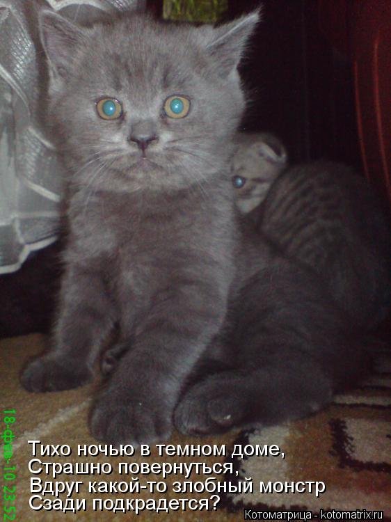 Тихо ночью в темном доме, Страшно повернуться, Вдруг какой-то злобный монстр Сзади подкрадется?... Котоматрица: Тихо ночью в темном доме, Страшно повернуться, Вдруг какой-то злобный монстр Сзади подкрадется?