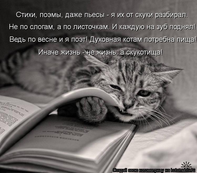 Стихи, поэмы, даже пьесы - я их от скуки разбирал. Не по слогам, а по листочкам. И каждую на зуб подн... Котоматрица: Стихи, поэмы, даже пьесы - я их от скуки разбирал. Не по слогам, а по листочкам. И каждую на зуб поднял! Ведь по весне и я поэт! Духовная котам по