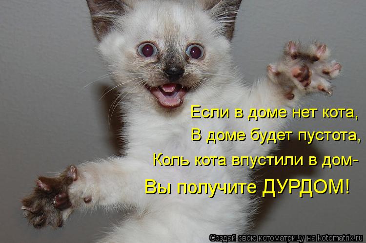 Если в доме нет кота, В доме будет пустота, Коль кота впустили в дом- Вы получите ДУРДОМ!... Котоматрица: Если в доме нет кота, В доме будет пустота, Коль кота впустили в дом- Вы получите ДУРДОМ!