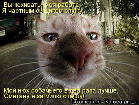 Сметану я за милю отыщу! Мой нюх собачьего в два раза лучше, Вынюхивать- моя работа, Я частным сыщико... Котоматрица: Сметану я за милю отыщу! Мой нюх собачьего в два раза лучше, Вынюхивать- моя работа, Я частным сыщиком служу,