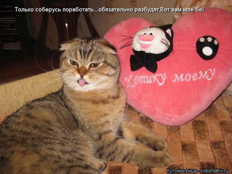 Только соберусь поработать...обязательно разбудят.Вот вам моё бе!... Котоматрица: Только соберусь поработать...обязательно разбудят.Вот вам моё бе!
