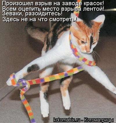 Произошел взрыв на заводе красок! Всем оцепить место взрыва лентой! Зеваки, разойдитесь! Здесь не на... Котоматрица: Произошел взрыв на заводе красок! Всем оцепить место взрыва лентой! Зеваки, разойдитесь! Здесь не на что смотреть!