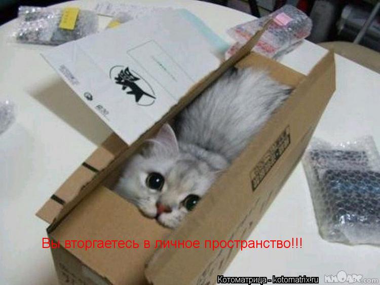Вы вторгаетесь в личное пространство!!!... Котоматрица: Вы вторгаетесь в личное пространство!!!