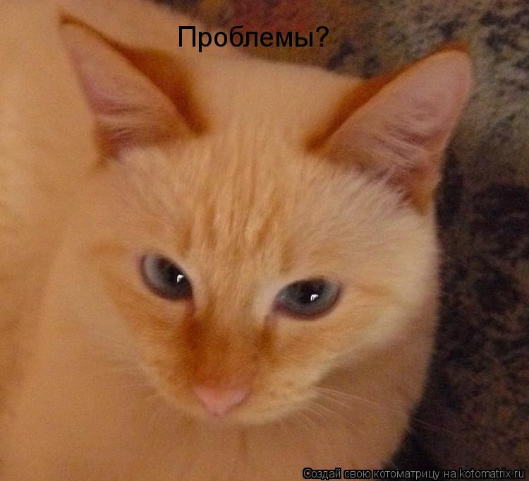 Проблемы?... Котоматрица: Проблемы?
