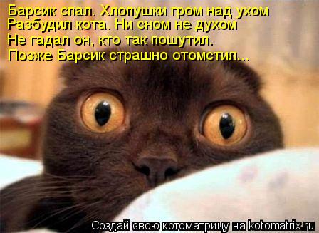 Разбудил кота. Ни сном не духом Барсик спал. Хлопушки гром над ухом Не гадал он, кто так пошутил. Поз... Котоматрица: Разбудил кота. Ни сном не духом Барсик спал. Хлопушки гром над ухом Не гадал он, кто так пошутил. Позже Барсик страшно отомстил...