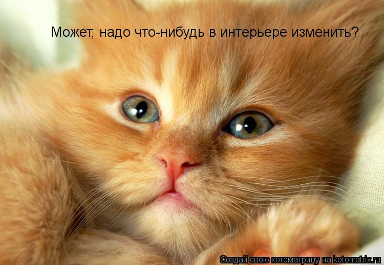 Может, надо что-нибудь в интерьере изменить?... Котоматрица: Может, надо что-нибудь в интерьере изменить?