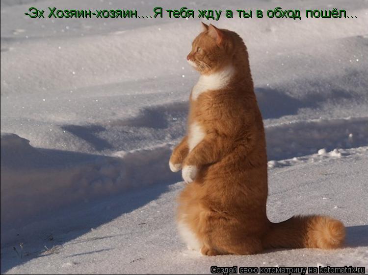 -Эх Хозяин-хозяин....Я тебя жду а ты в обход пошёл...... Котоматрица: -Эх Хозяин-хозяин....Я тебя жду а ты в обход пошёл...