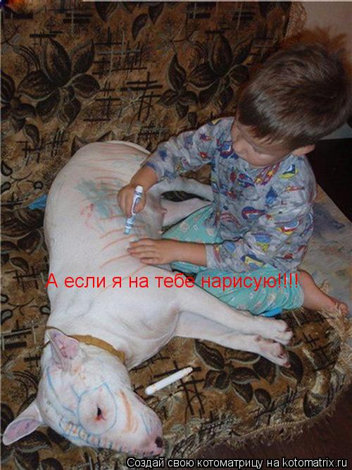 А если я на тебе нарисую!!!!... Котоматрица: А если я на тебе нарисую!!!!