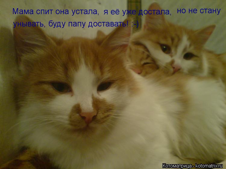 Мама спит она устала, Мама спит она устала, я её уже достала, но не стану унывать, буду папу достават... Котоматрица: Мама спит она устала, Мама спит она устала, я её уже достала, но не стану унывать, буду папу доставать! :-)