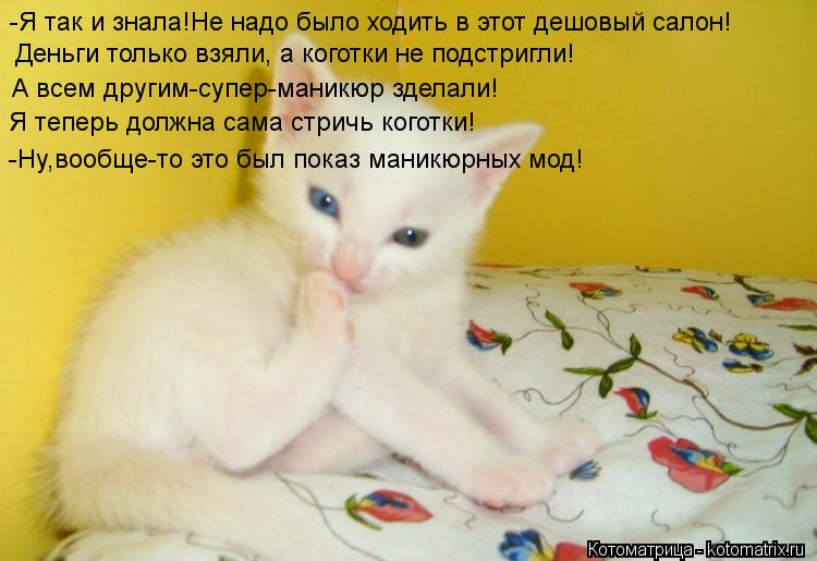 -Я так и знала!Не надо было ходить в этот дешовый салон! Деньги только взяли, а коготки не подстригли... Котоматрица: -Я так и знала!Не надо было ходить в этот дешовый салон! Деньги только взяли, а коготки не подстригли! А всем другим-супер-маникюр зделали! Я т