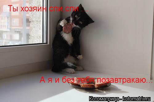Ты хозяин спи,спи ... А я и без тебя позавтракаю...... Котоматрица: Ты хозяин спи,спи ... А я и без тебя позавтракаю...