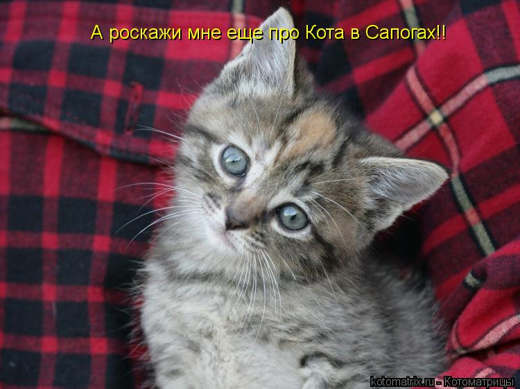А роскажи мне еще про Кота в Сапогах!!... Котоматрица: А роскажи мне еще про Кота в Сапогах!!