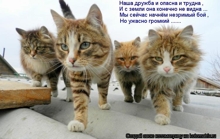 Наша дружба и опасна и трудна , И с земли она конечно не видна ... Мы сейчас начнём незримый бой , Н... Котоматрица: Наша дружба и опасна и трудна , И с земли она конечно не видна ... Мы сейчас начнём незримый бой , Но ужасно громкий .......