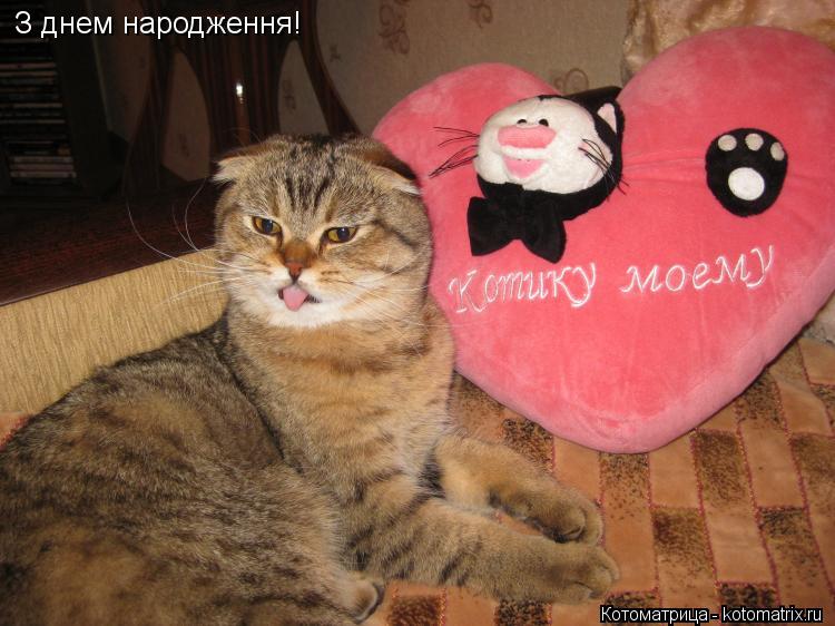 З днем народження!... Котоматрица: З днем народження!