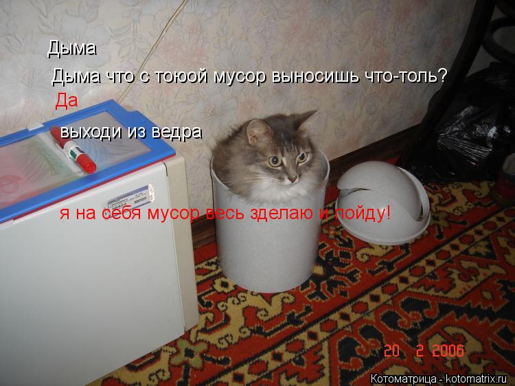 Дыма Дыма что с тоюой мусор выносишь что-толь? Да выходи из ведра я на себя мусор весь зделаю и пойду... Котоматрица: Дыма Дыма что с тоюой мусор выносишь что-толь? Да выходи из ведра я на себя мусор весь зделаю и пойду!